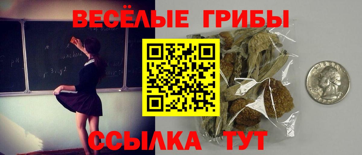 Галлюциногенные грибы прущие грибы  Вход с VPN  Лесосибирск 