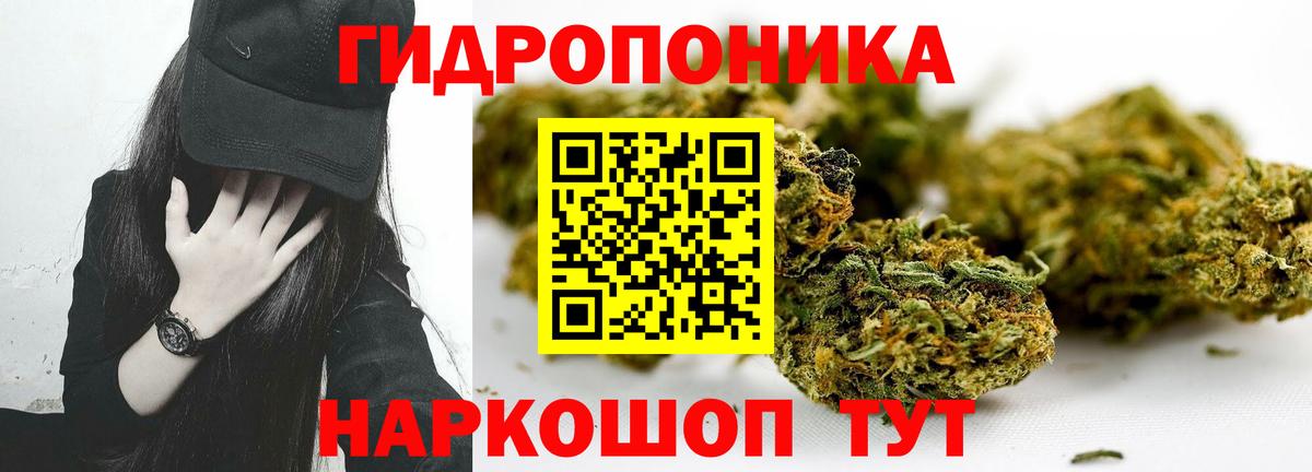 Конопля ГИДРОПОН  Вход с VPN  Бошки марихуана план  Бошки Шишки планчик  Лесосибирск  Канабис гибрид 